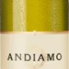 Andiamo Pinot Grigio Delle Venezie DOC