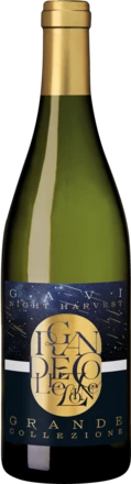 Grande Collezione Night Harvest Gavi Gavi DOCG