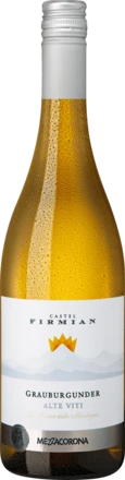 Alte Viti Grauburgunder Trentino DOC Castel Firmian